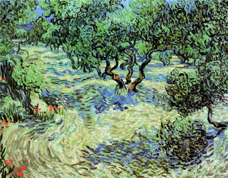 Olive Grove Van Gogh Oil Painting